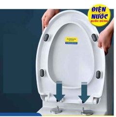 Nắp bệt trứng , nắp bồn cầu trứng cao cấp nhập khẩu và các kiểu nắp bàn cầu khác