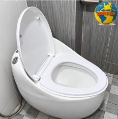 Nắp bệt trứng , nắp bồn cầu trứng cao cấp nhập khẩu và các kiểu nắp bàn cầu khác