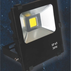 Đèn Pha LED NamLong NetViet NCA28 LED 20W