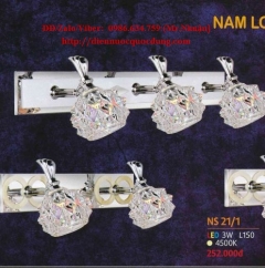  Đèn soi tranh NS21/2 LED