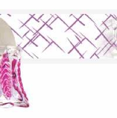 Đèn soi tranh NS5888/2 LED 