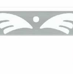 Đèn soi tranh NS5905/2 LED  