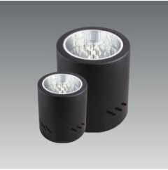 Đèn lon nổi NH794 4"