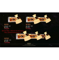  Đèn soi tranh NS19/2 LED