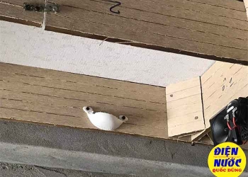 Kỹ thuật đóng ván nhà yến cơ bản nhất