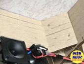 Kỹ thuật đóng ván nhà yến cơ bản nhất