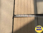 Thanh làm tổ nhà yến và những điều có thể bạn chưa biết